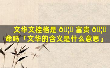 文华文桂格是 🦁 富贵 🦈 命吗「文华的含义是什么意思」